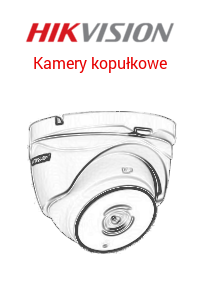 Kamery kopułkowe