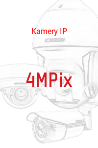 4 MPX